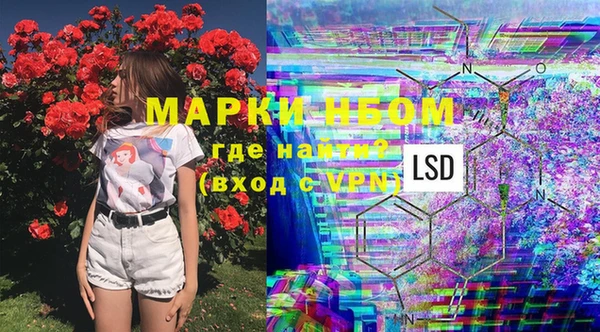 МДПВ Кукмор