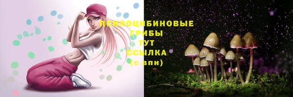 прущий лед Кулебаки