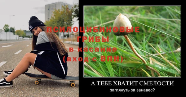 бошки Ладушкин