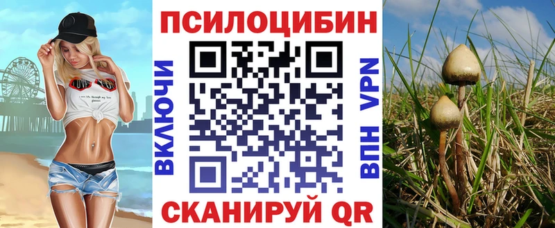 hydra как войти  Кукмор  Галлюциногенные грибы мухоморы 